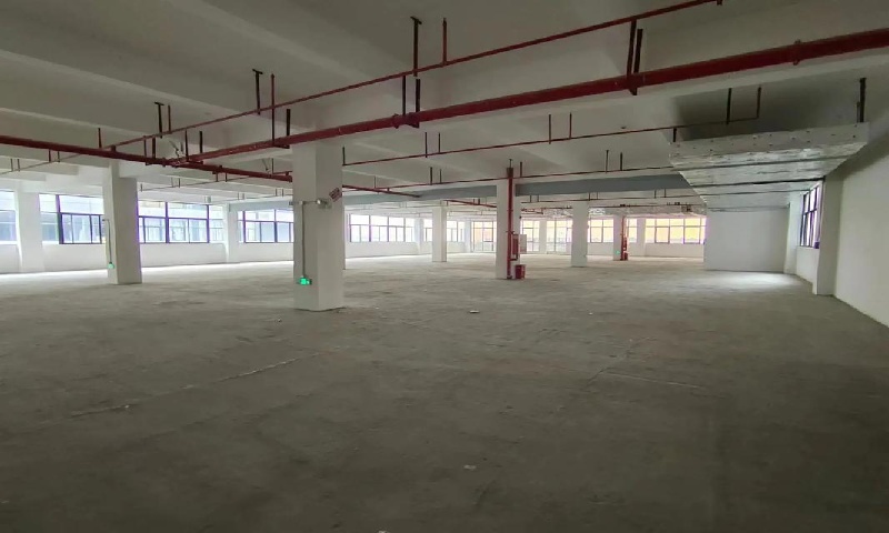 1755309632769545.jpg 后岗工业区.jpg